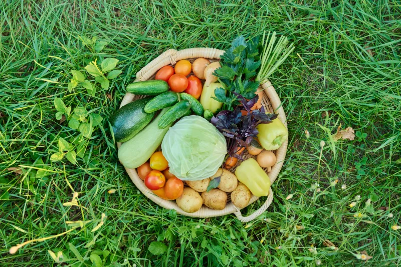 Verduras frescas en Alfafar